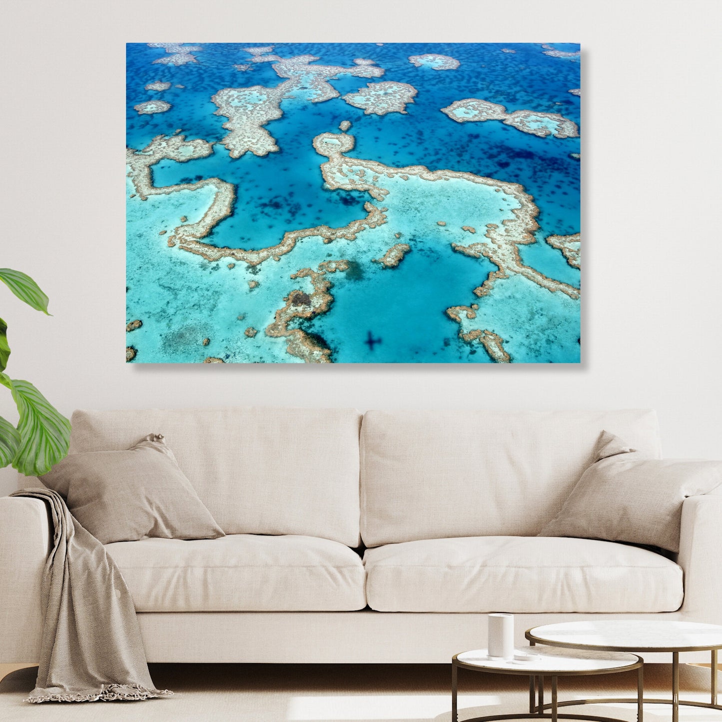 Reef View Wall Art Canvas Print