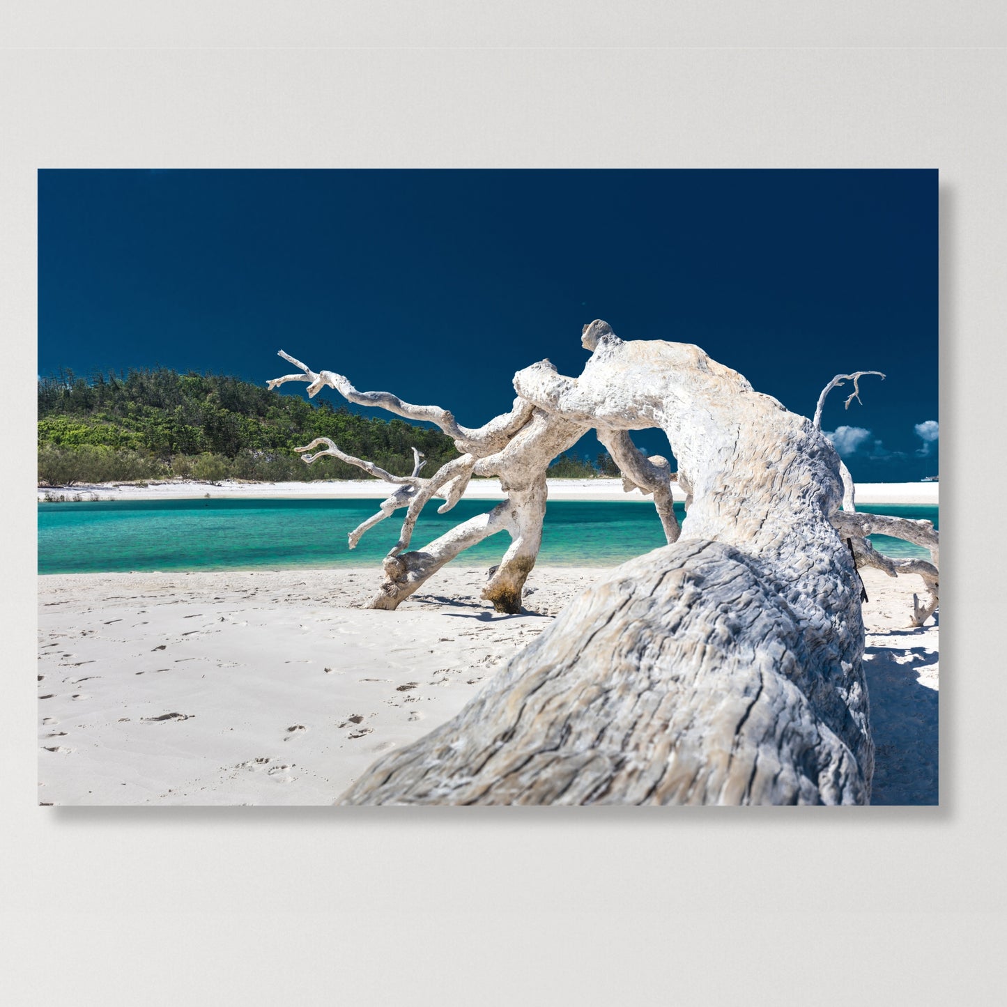 Driftwood Calm Wall Art Canvas Print