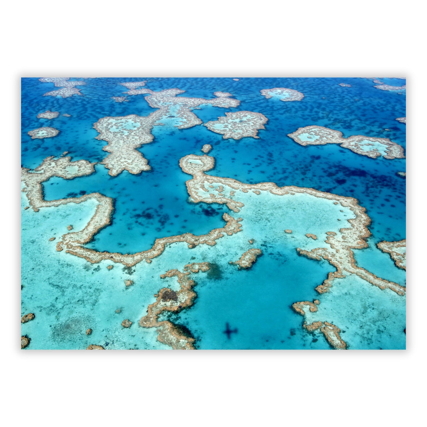 Reef View Wall Art Canvas Print