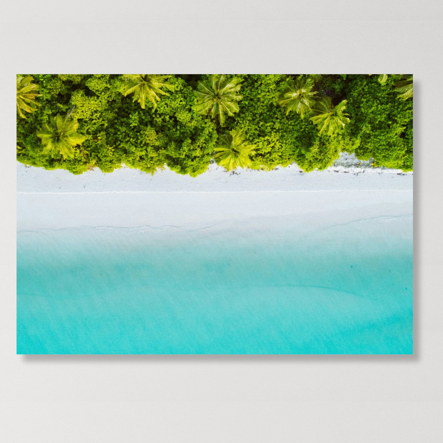 Oasis Wall Art Canvas Print