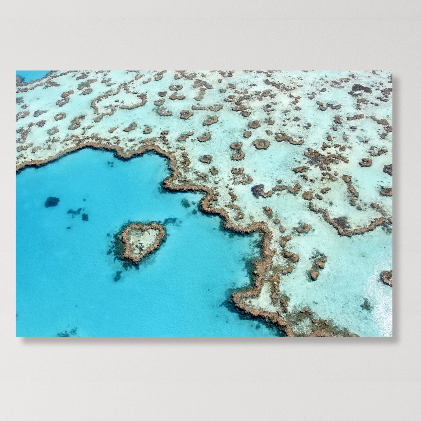 Reef Romance Wall Art Canvas Print