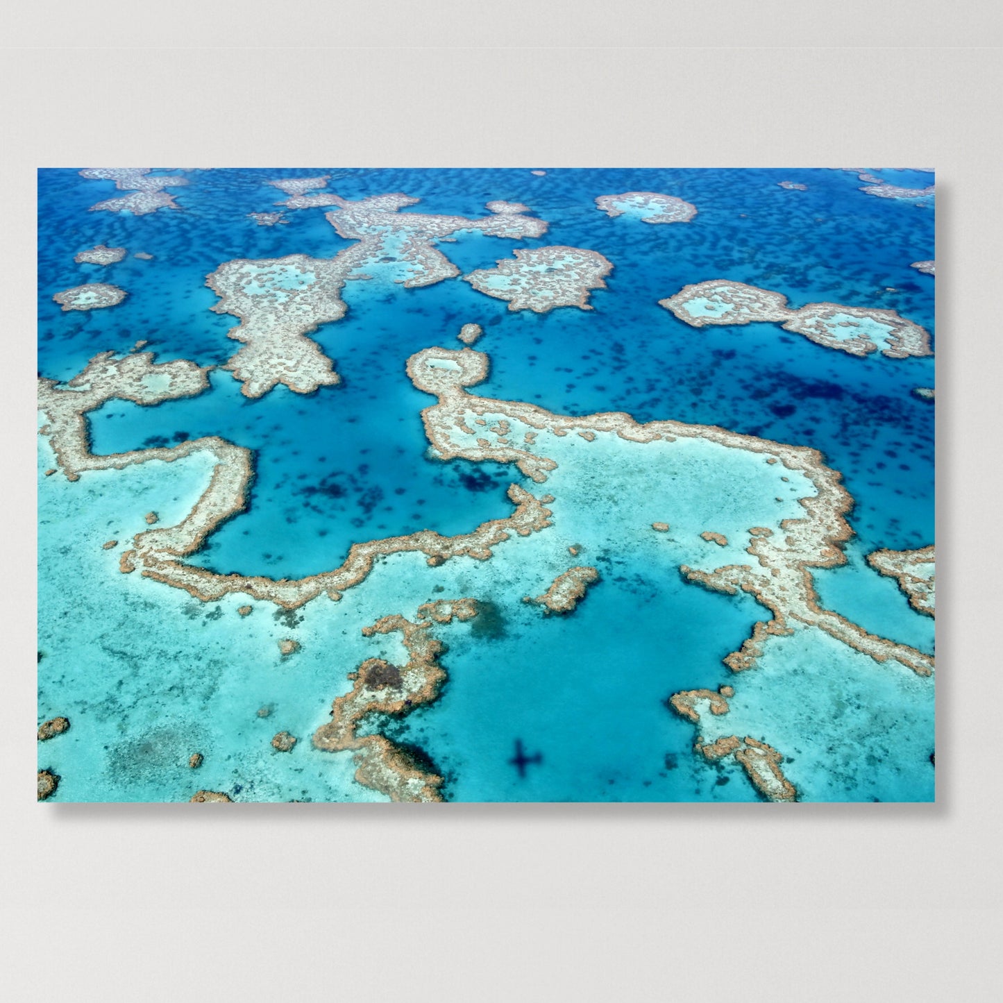 Reef View Wall Art Canvas Print