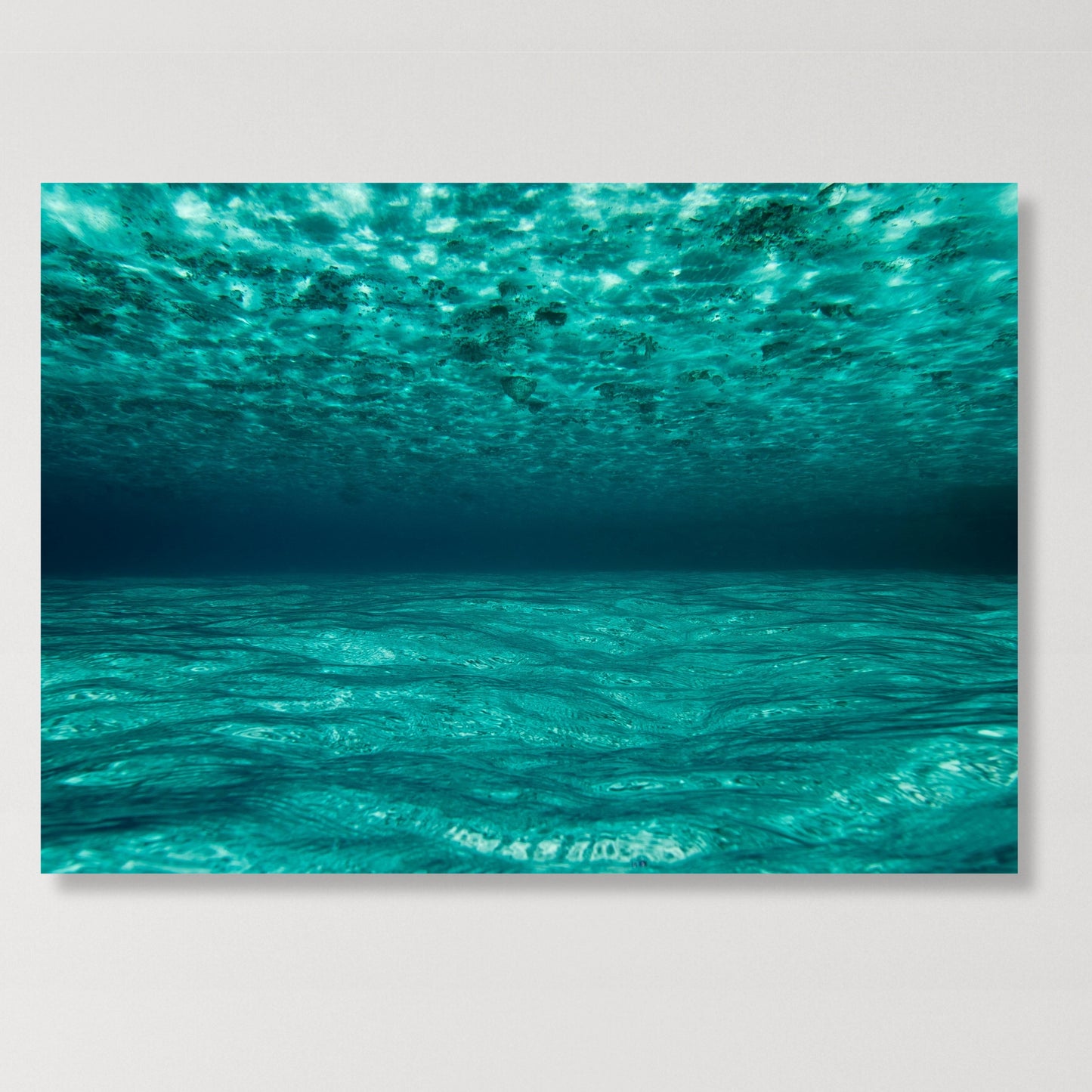 Underwater Wall Art Canvas Print
