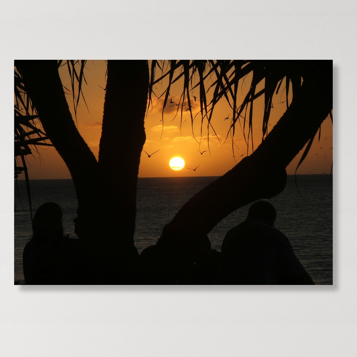 Sunset Pandanus Wall Art Canvas Print