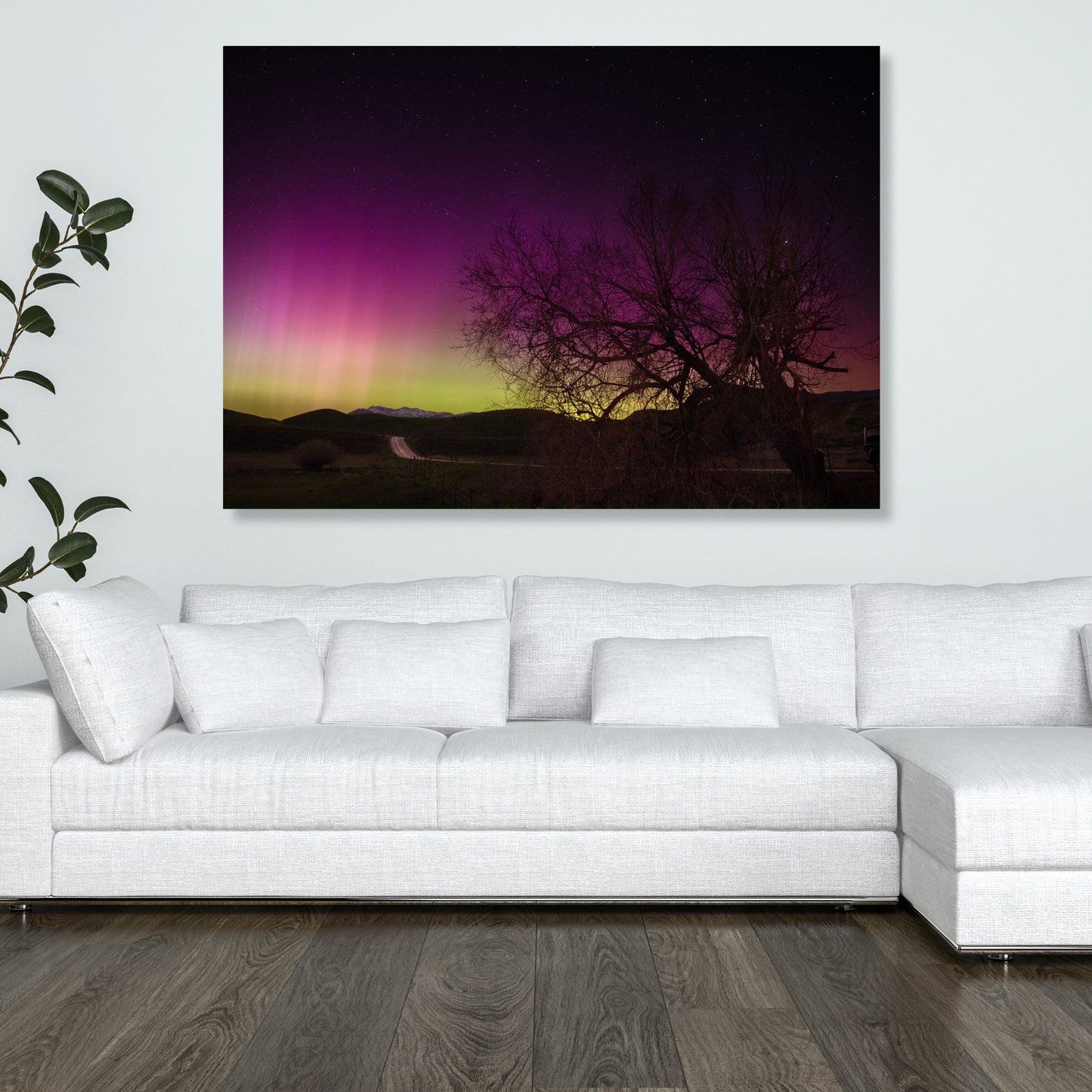 A Coloured Sky Wall Art Canvas Print