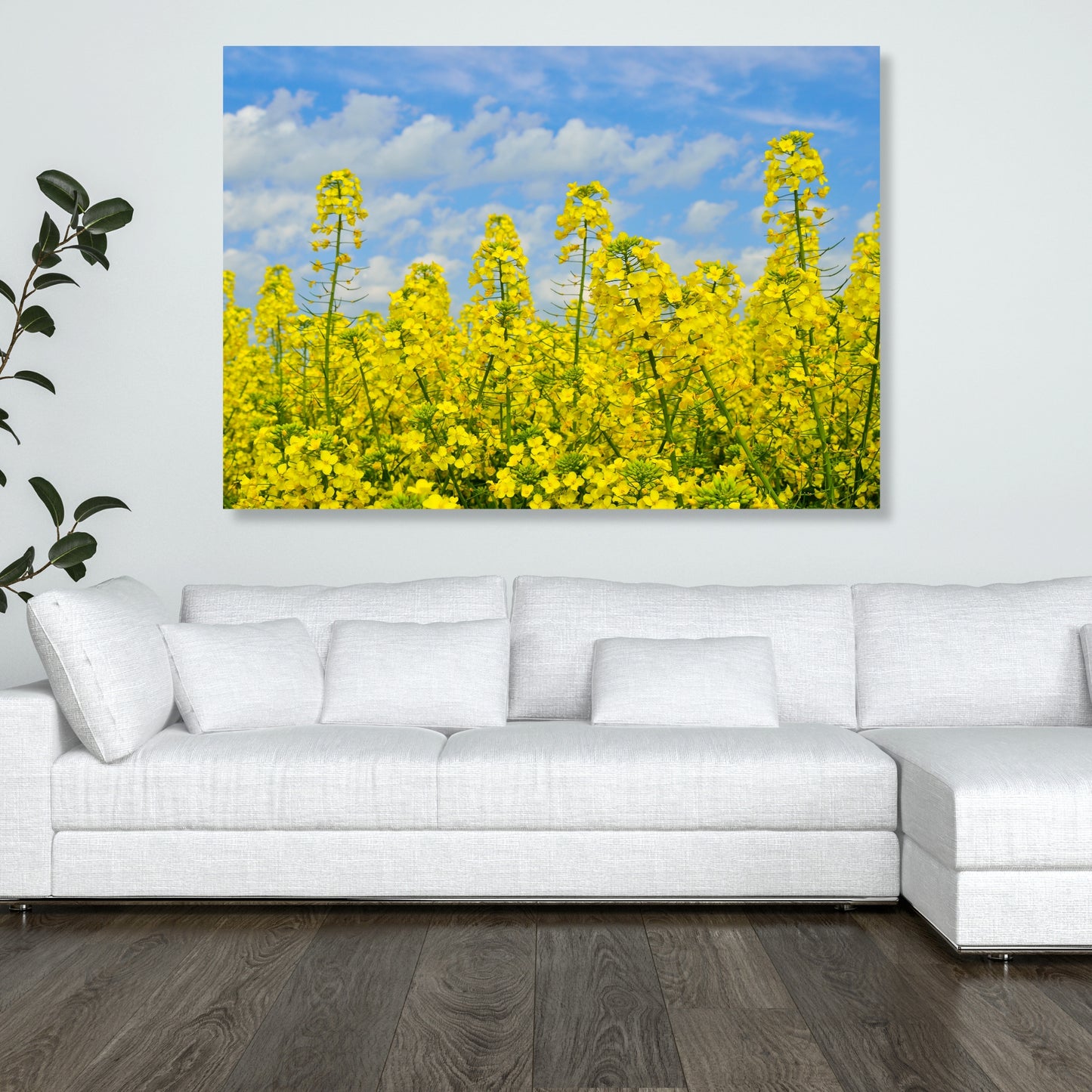 Yellow Wall Art Canvas Print