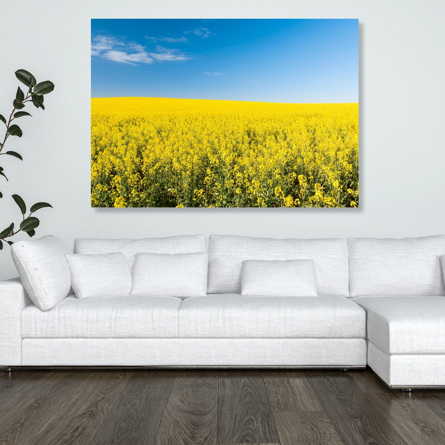 Golden Field Wall Art Canvas Print