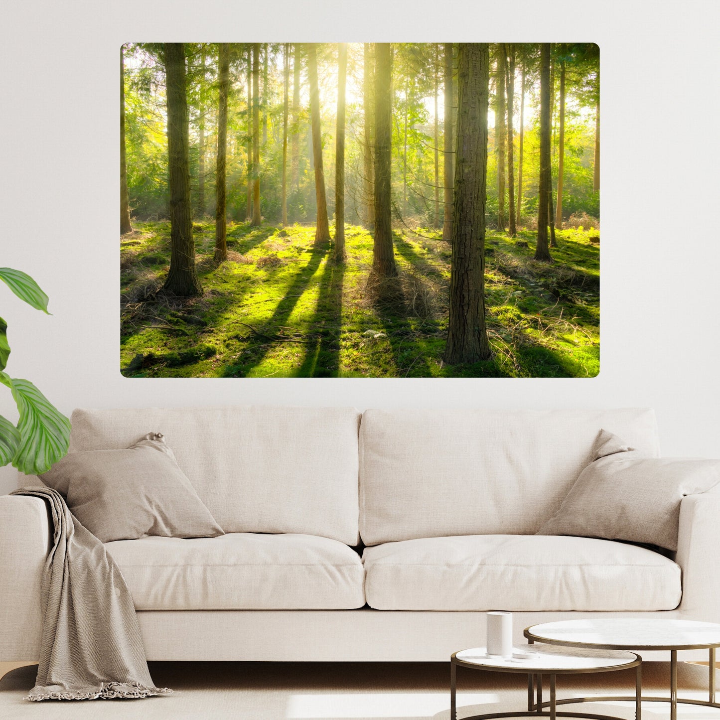 Forest Sunlight Wall Art Canvas Print
