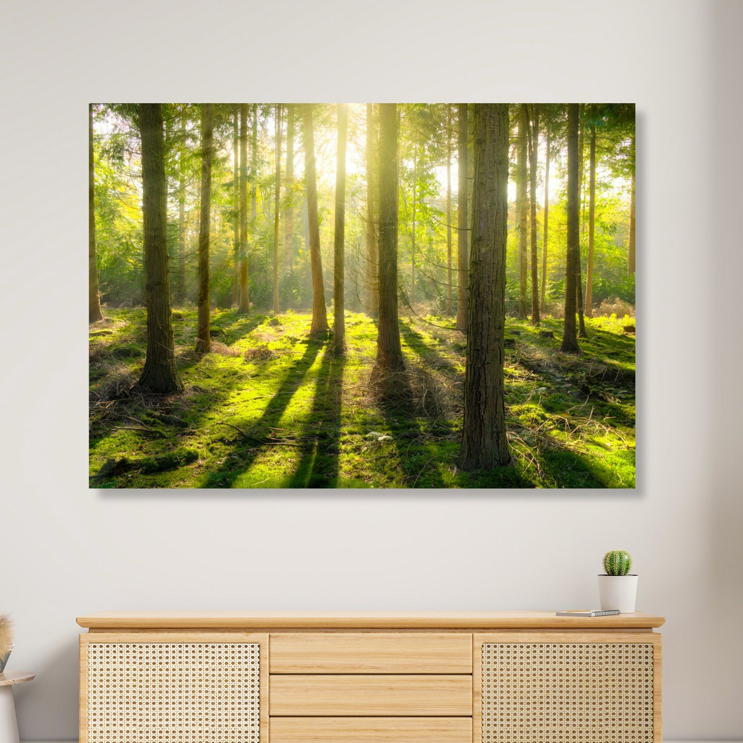 Forest Sunlight Wall Art Canvas Print