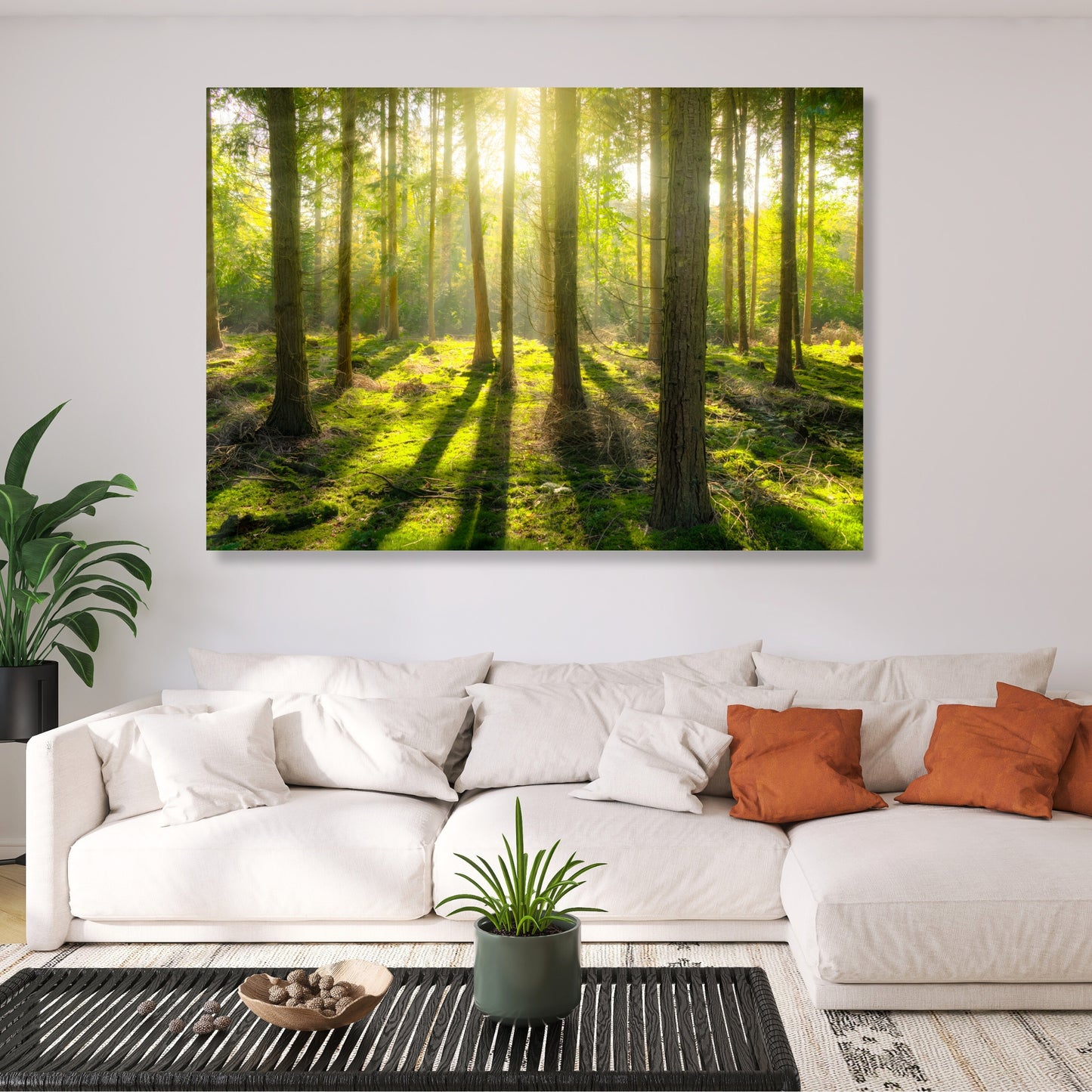 Forest Sunlight Wall Art Canvas Print