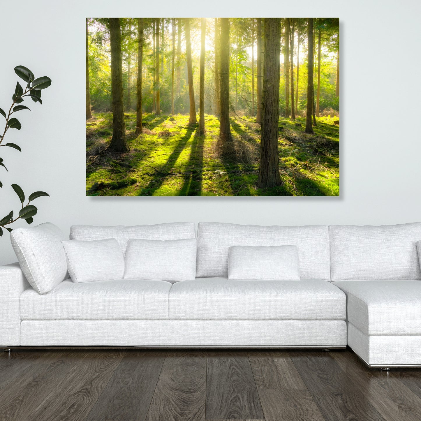 Forest Sunlight Wall Art Canvas Print