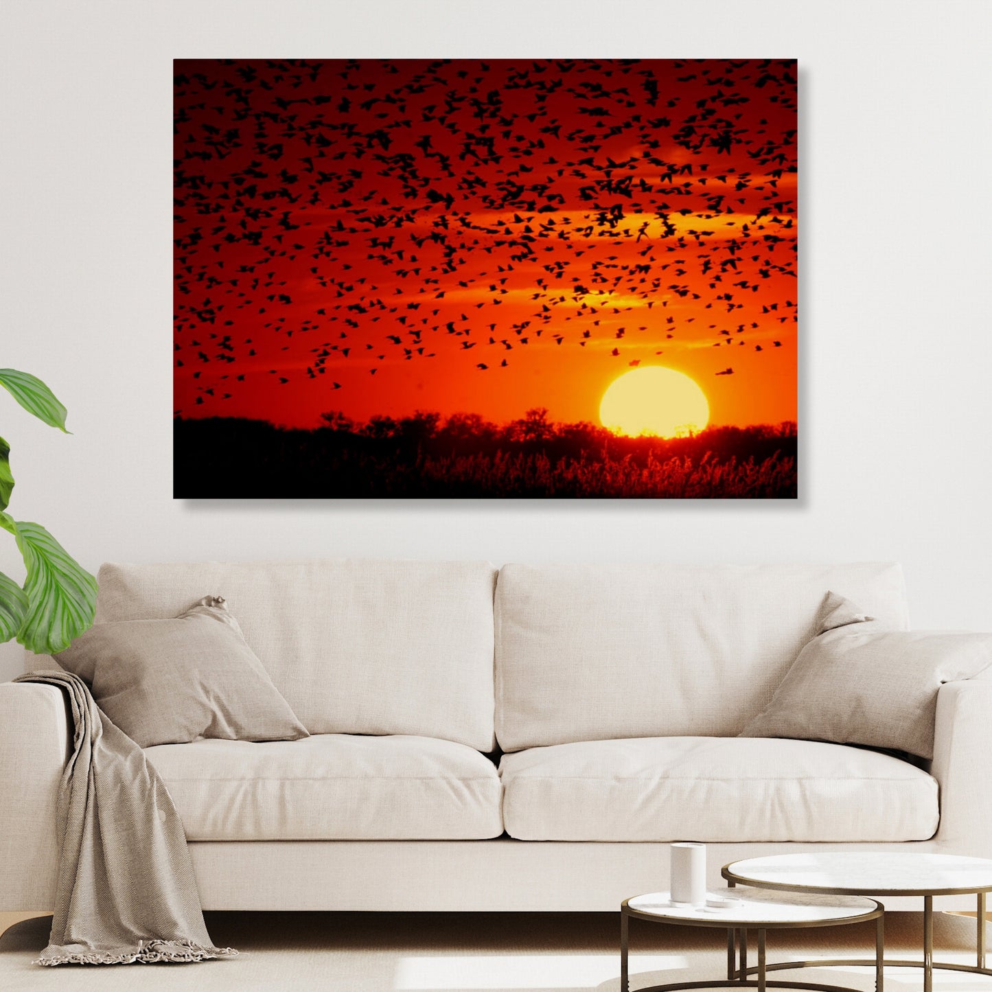 Sunset Flight Wall Art Canvas Print