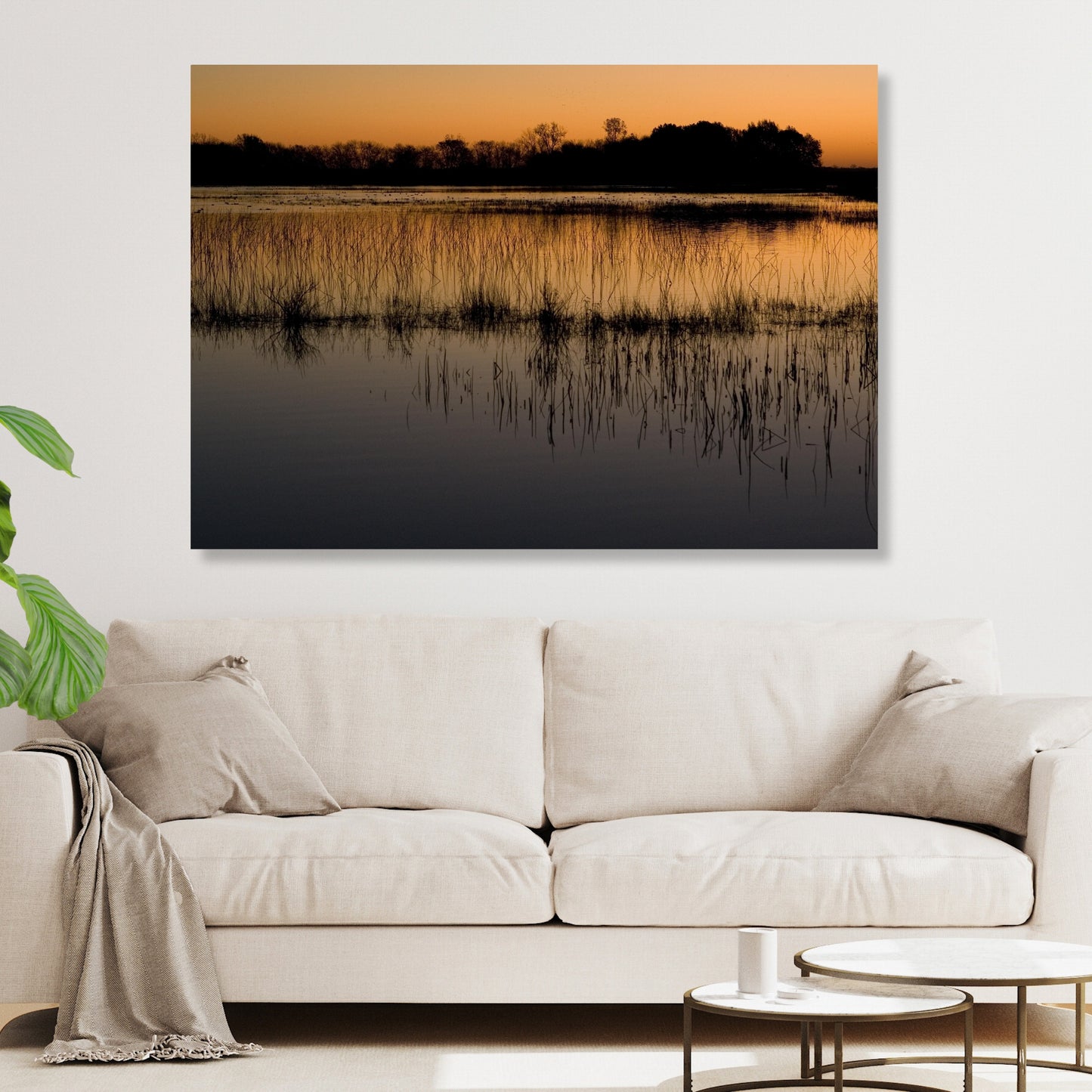 Mangroves Wall Art Canvas Print
