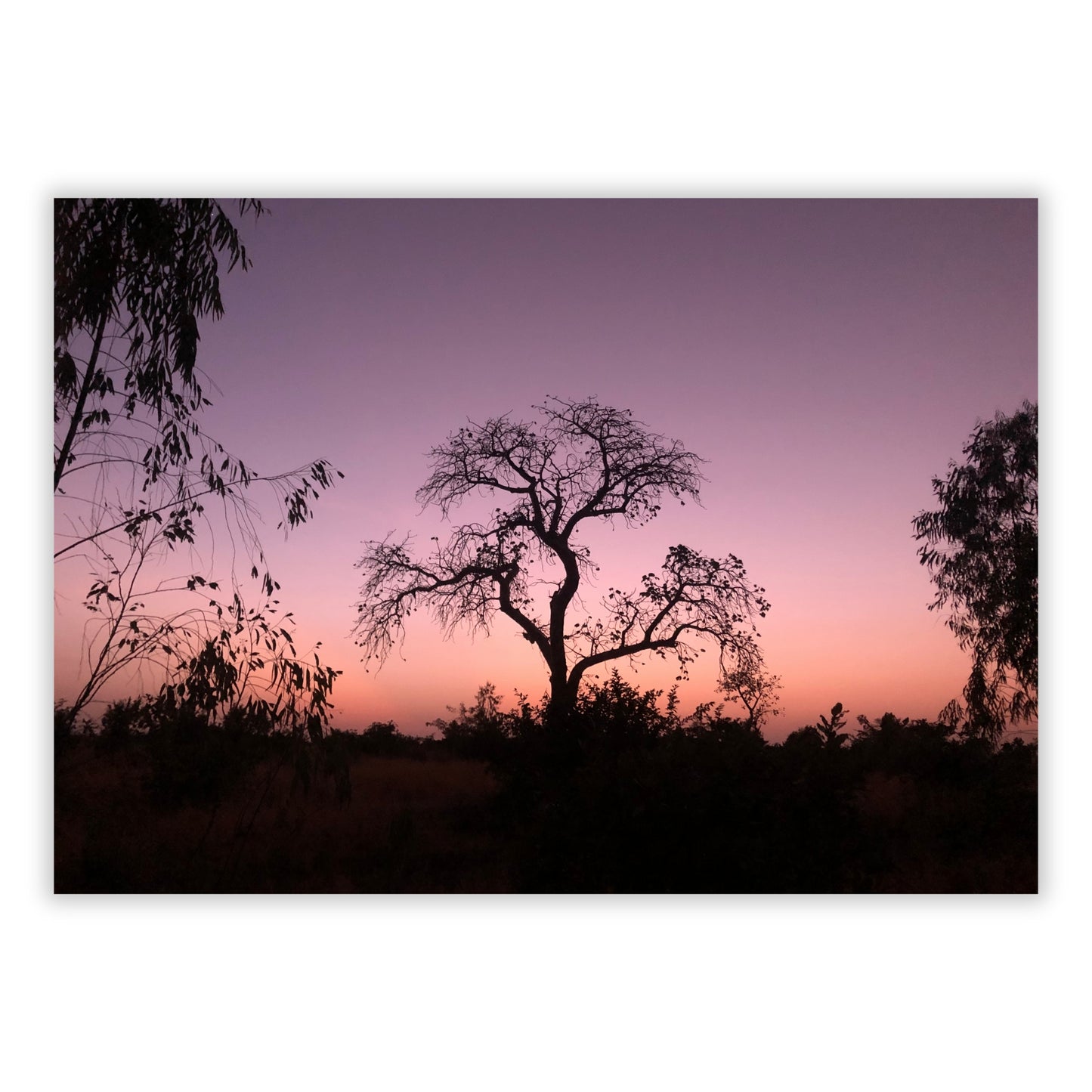 Simplicity Wall Art Canvas Print