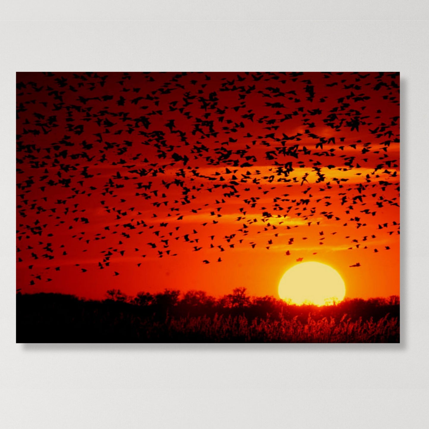 Sunset Flight Wall Art Canvas Print