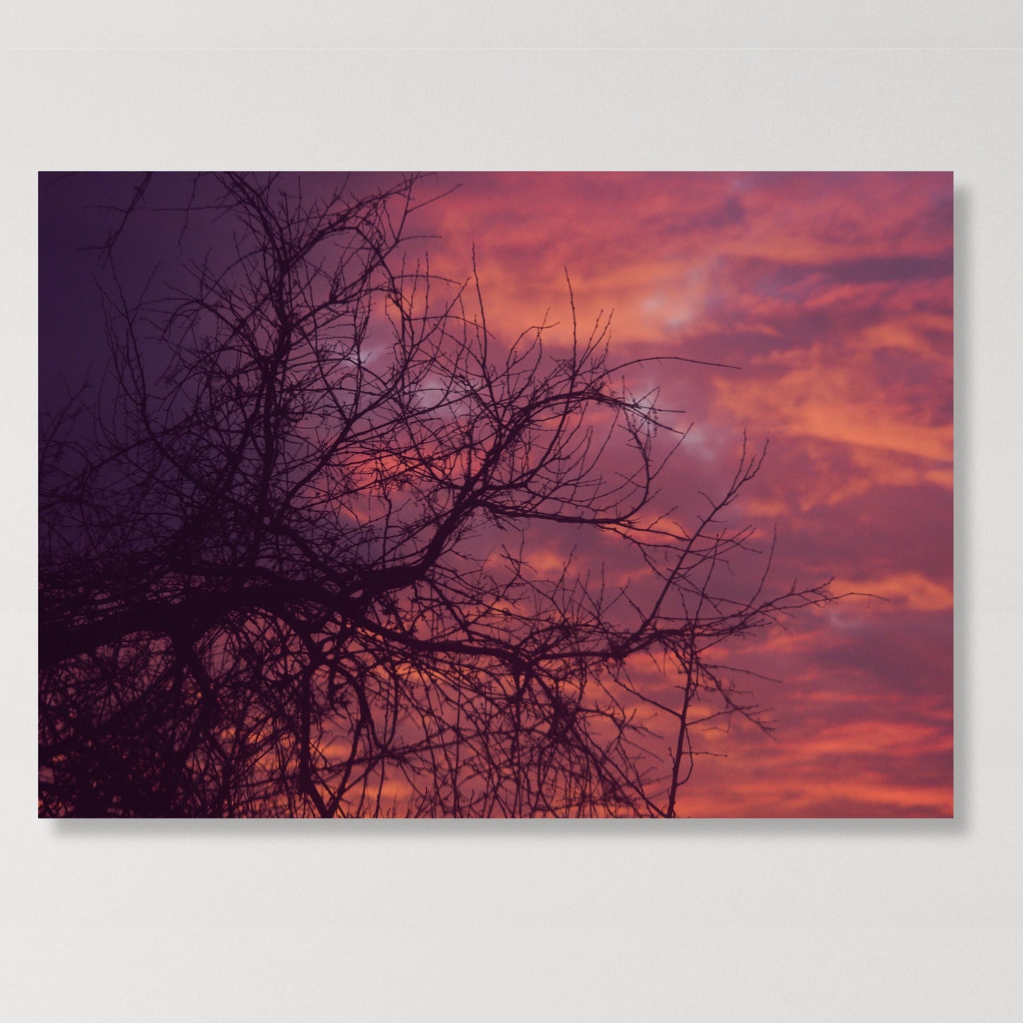 A Summers Night Wall Art Canvas Print