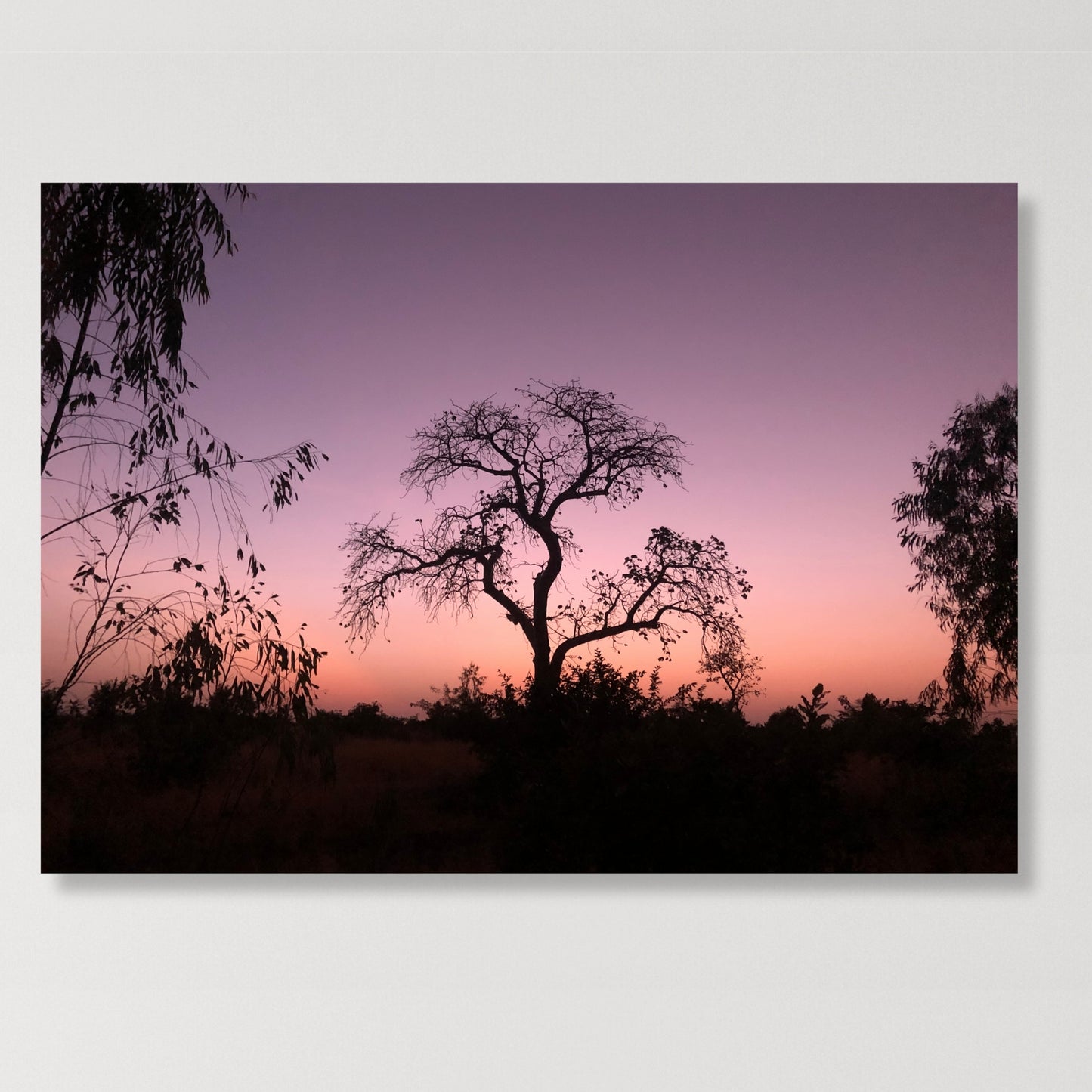 Simplicity Wall Art Canvas Print