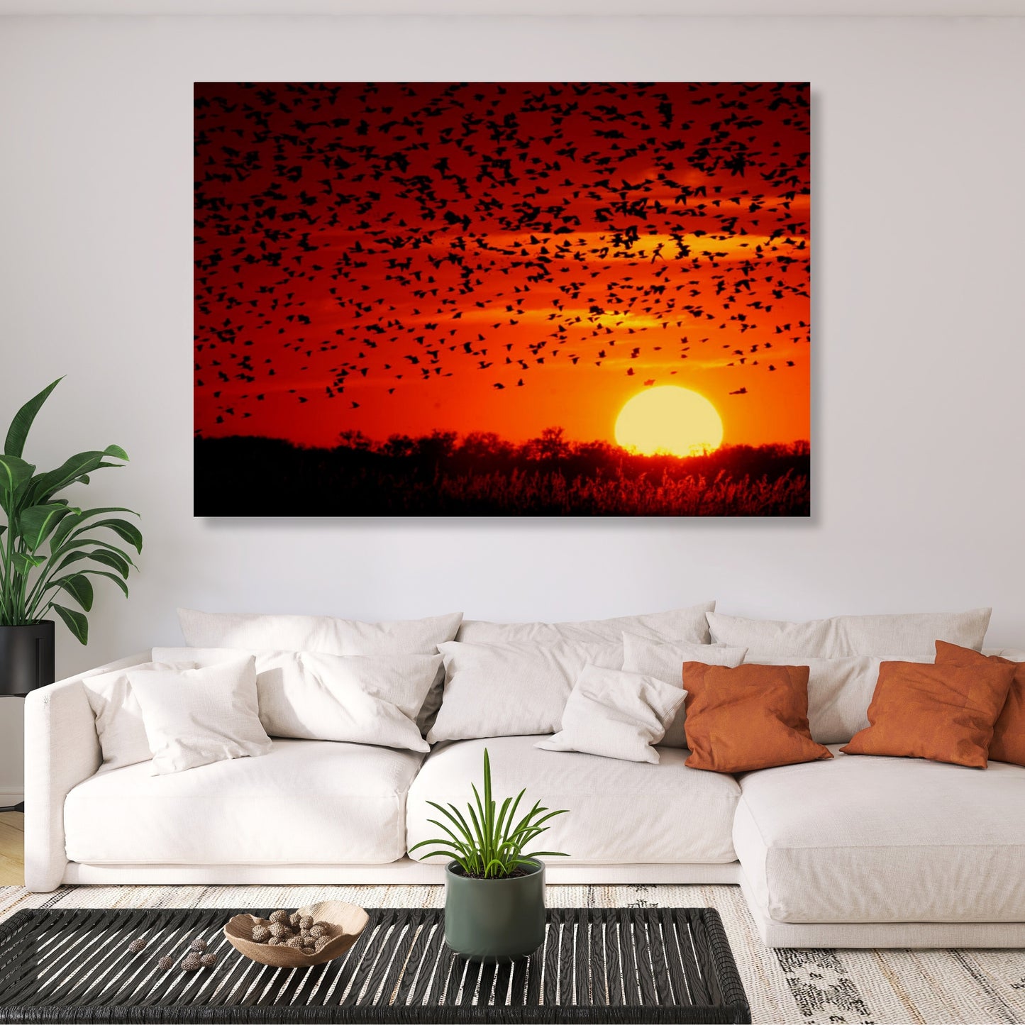 Sunset Flight Wall Art Canvas Print