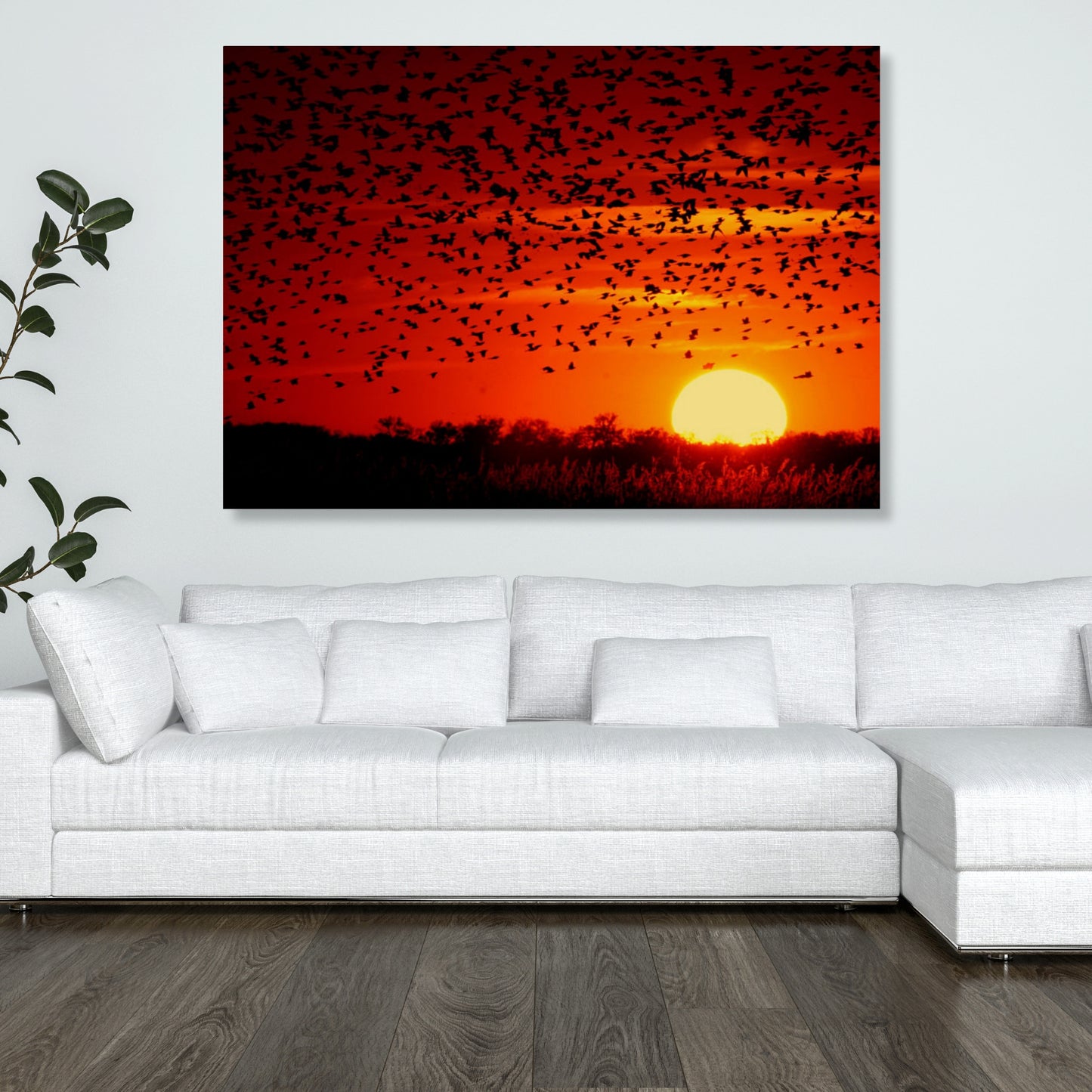 Sunset Flight Wall Art Canvas Print