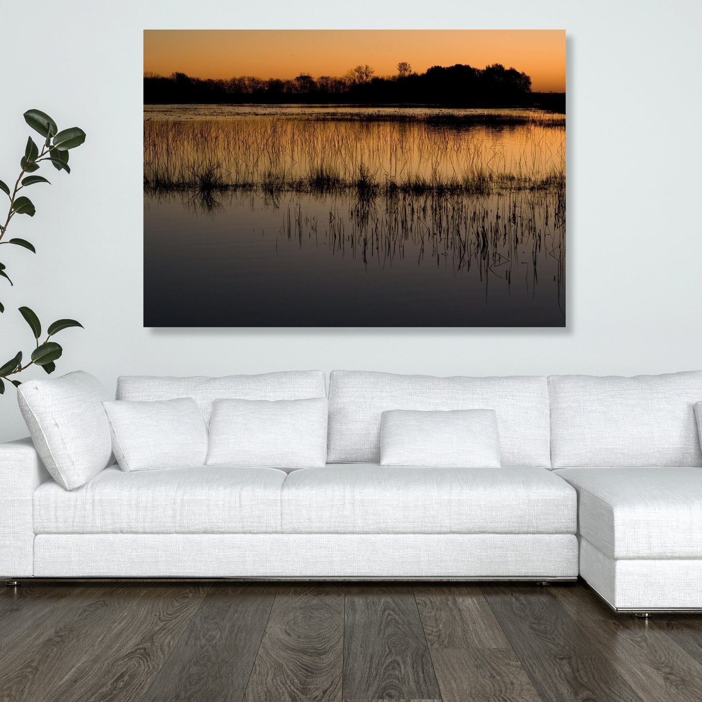 Mangroves Wall Art Canvas Print