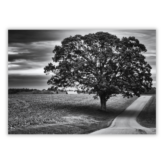 Moving To The Country Wall Art Canvas Print