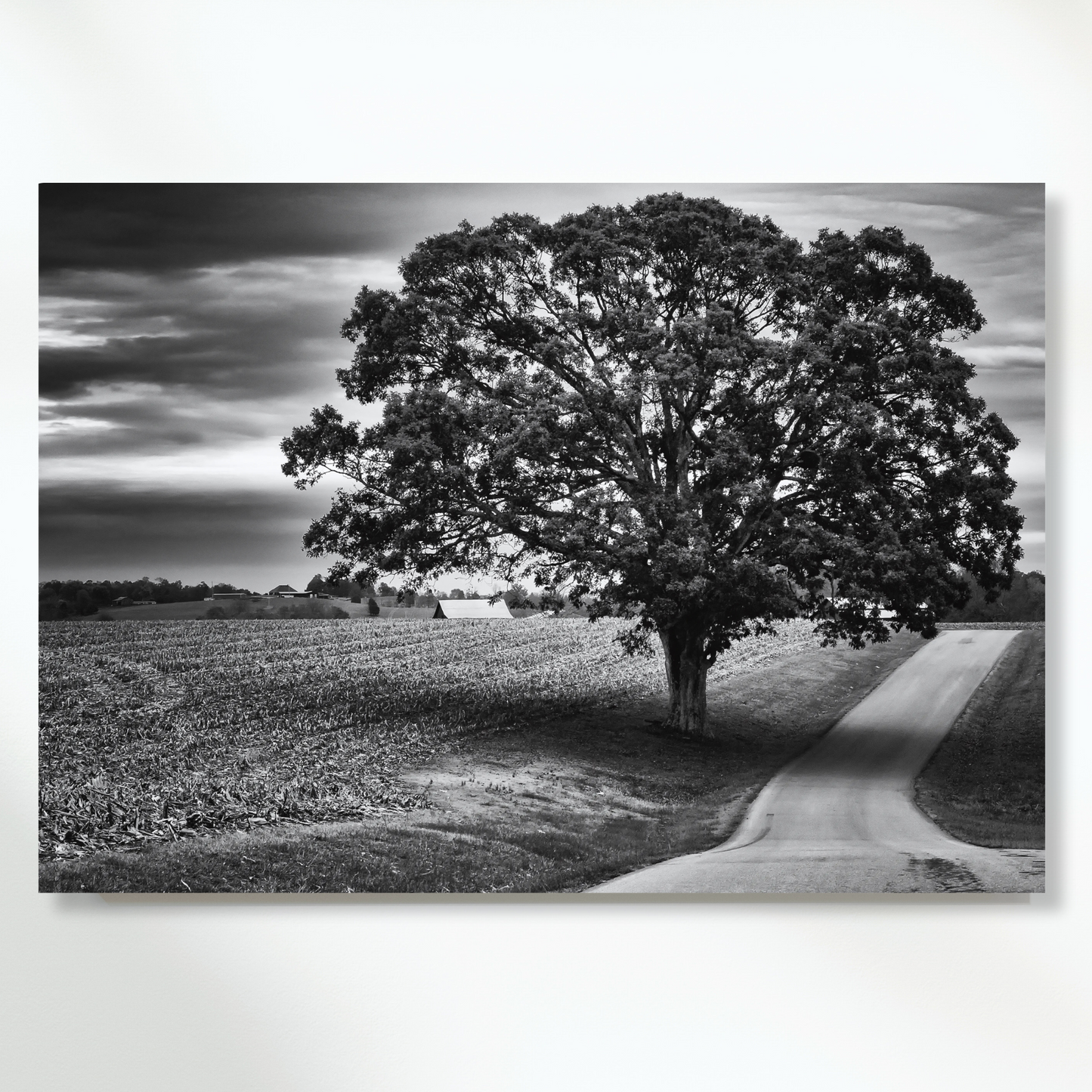 Moving To The Country Wall Art Canvas Print