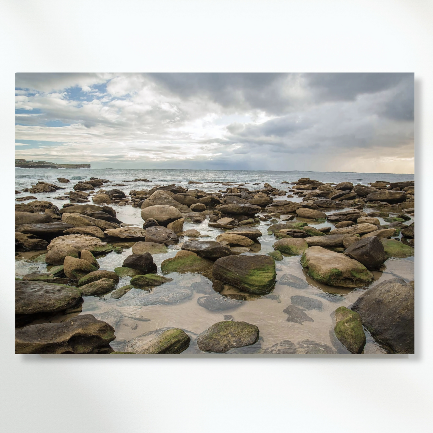 Ocean Moss Wall Art Canvas Print