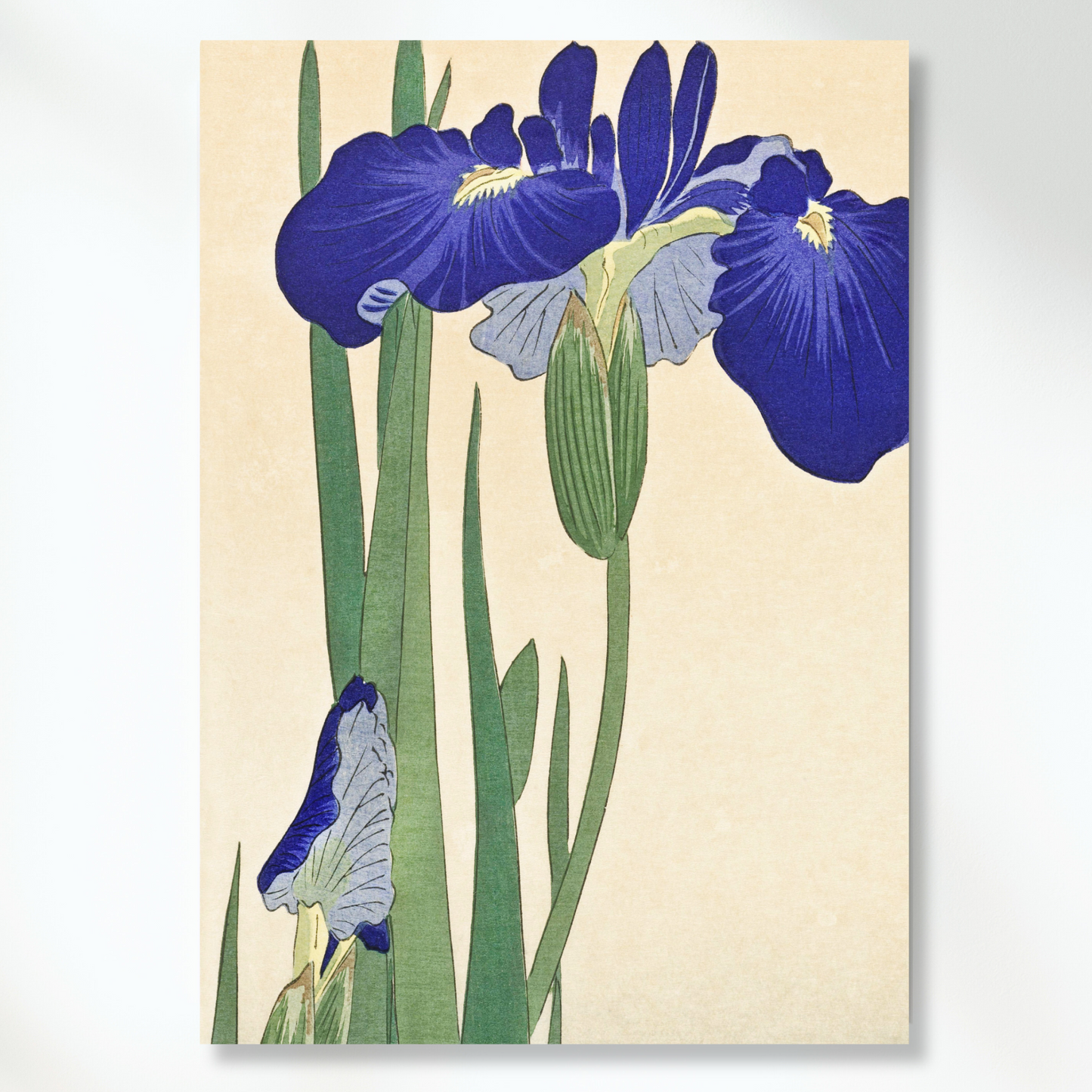 Ohara Koson - Blue Irises Wall Art Canvas Print