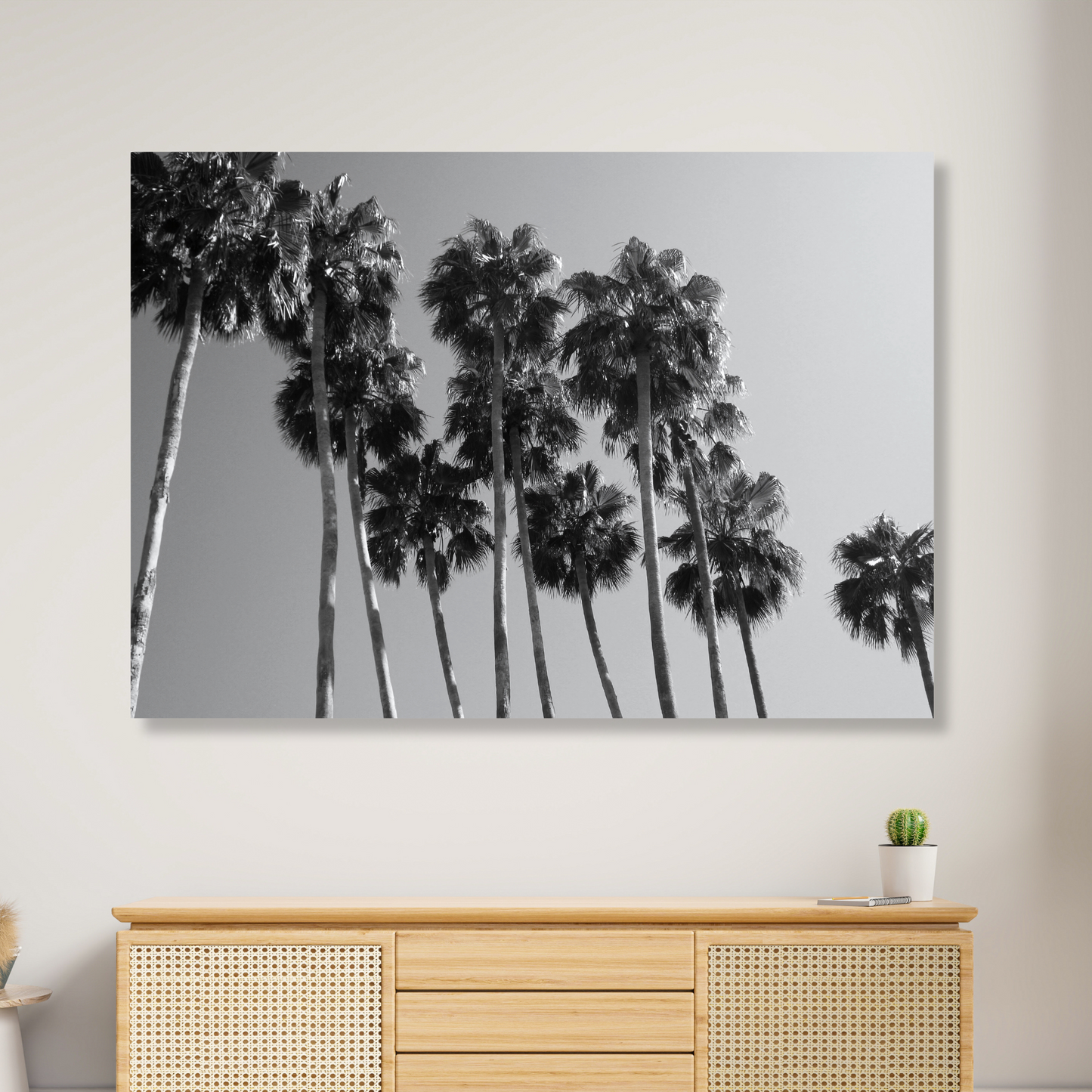Palm Trees