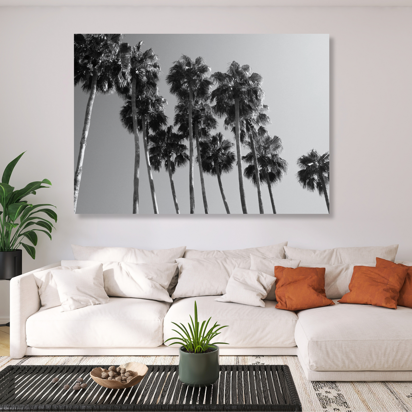 Palm Trees