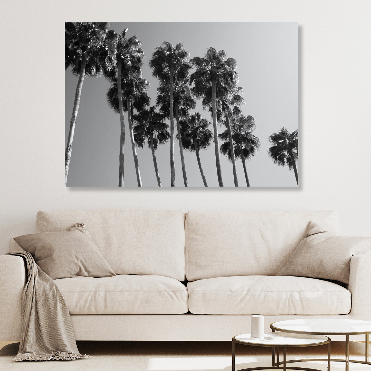 Palm Trees