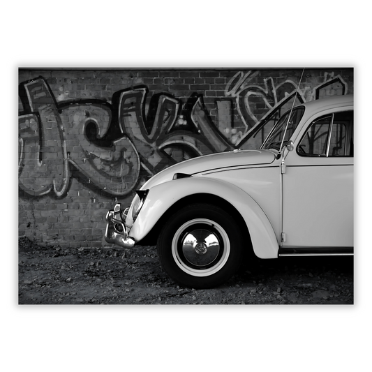 Urban Beetle Wall Art Canvas Print
