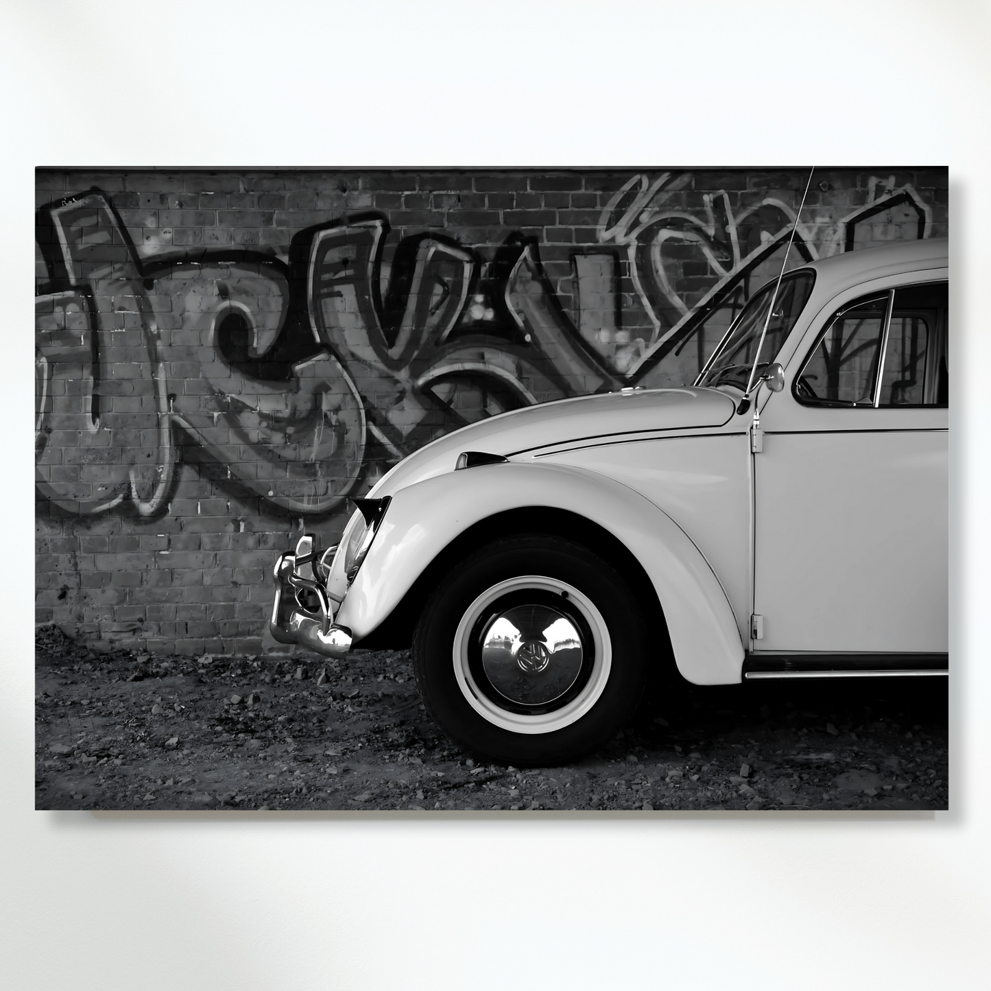 Urban Beetle Wall Art Canvas Print