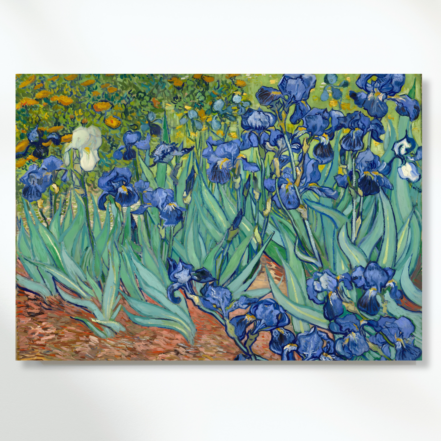 Vincent Van Gogh - Irises Wall Art Canvas Print