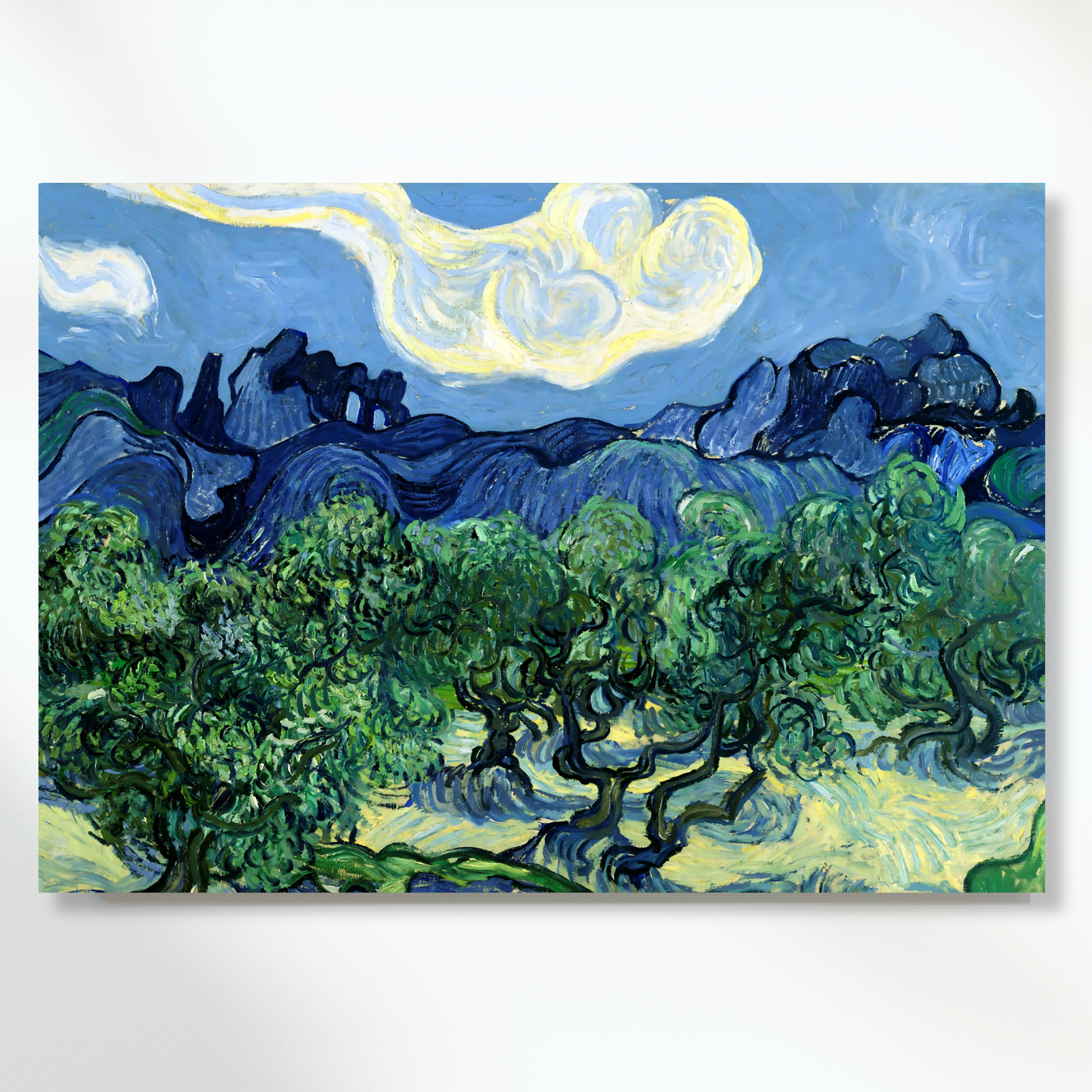 Vincent Van Gogh - Olive Trees Wall Art Canvas Print