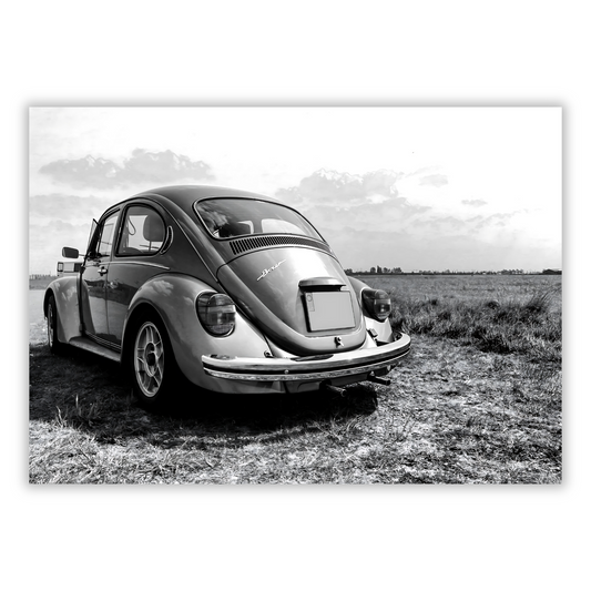 Vintage Beetle Wall Art Canvas Print