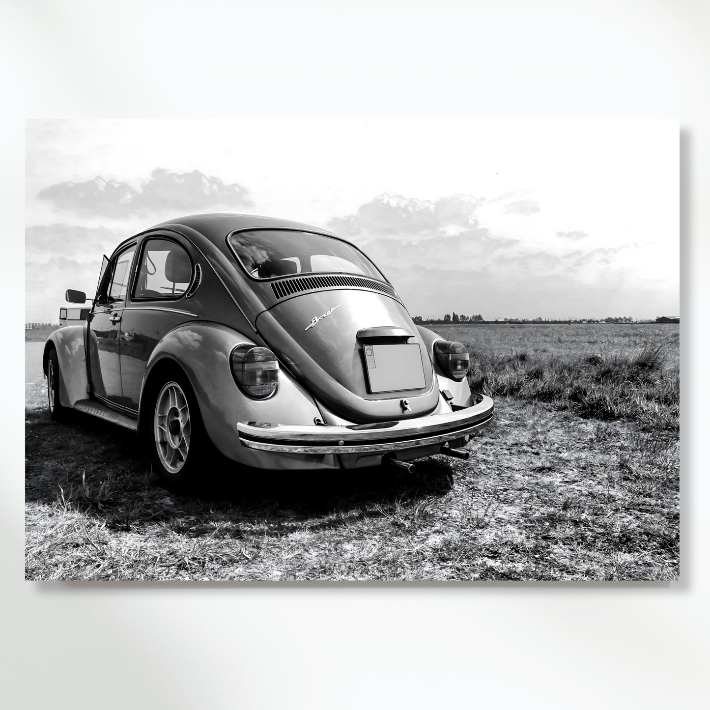 Vintage Beetle Wall Art Canvas Print