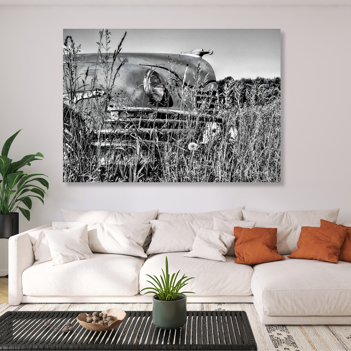 Vintage Car In A Field