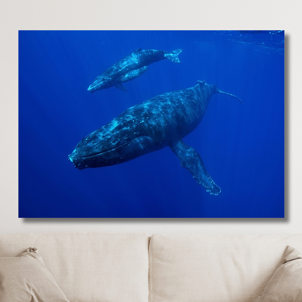 Whale & Calf Wall Art Canvas Print