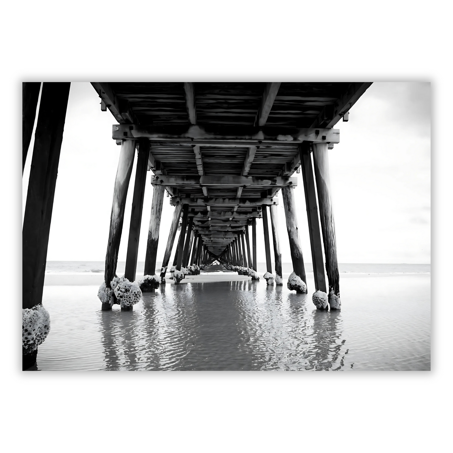 Wooden Pier Wall Art Canvas Print