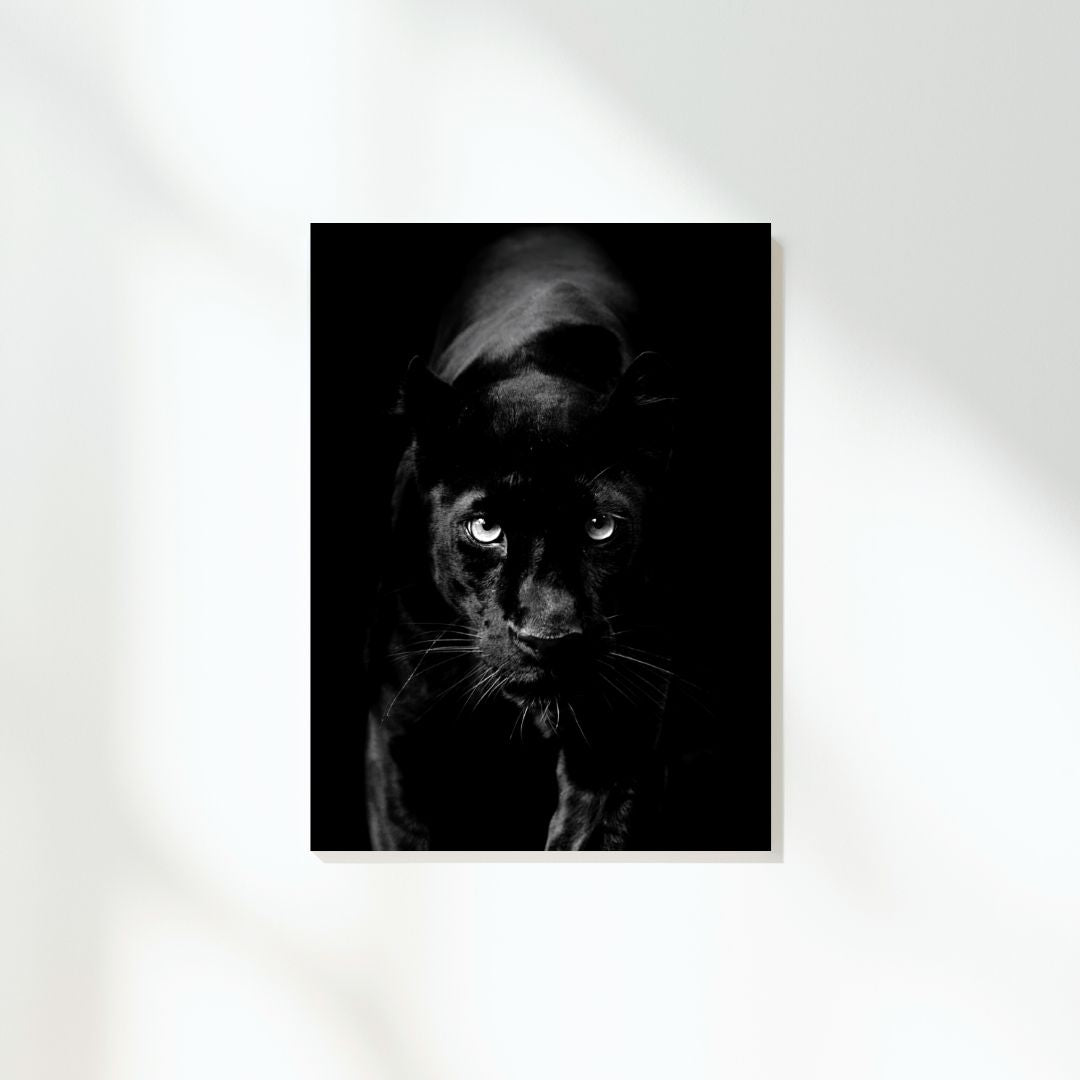 African Safari Panther Wall Art Canvas Print