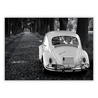 A Country Lane