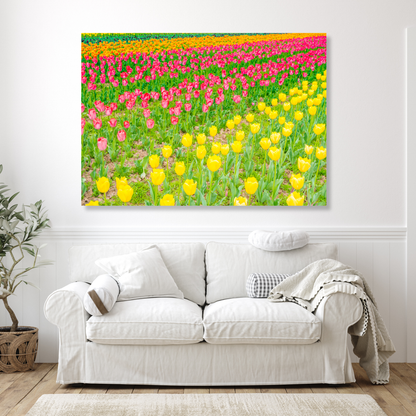 A Field Of Tulips Wall Art Canvas Print