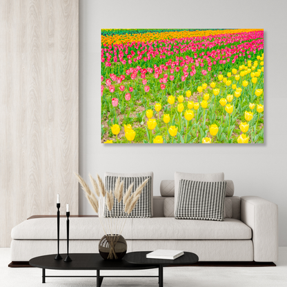 A Field Of Tulips Wall Art Canvas Print