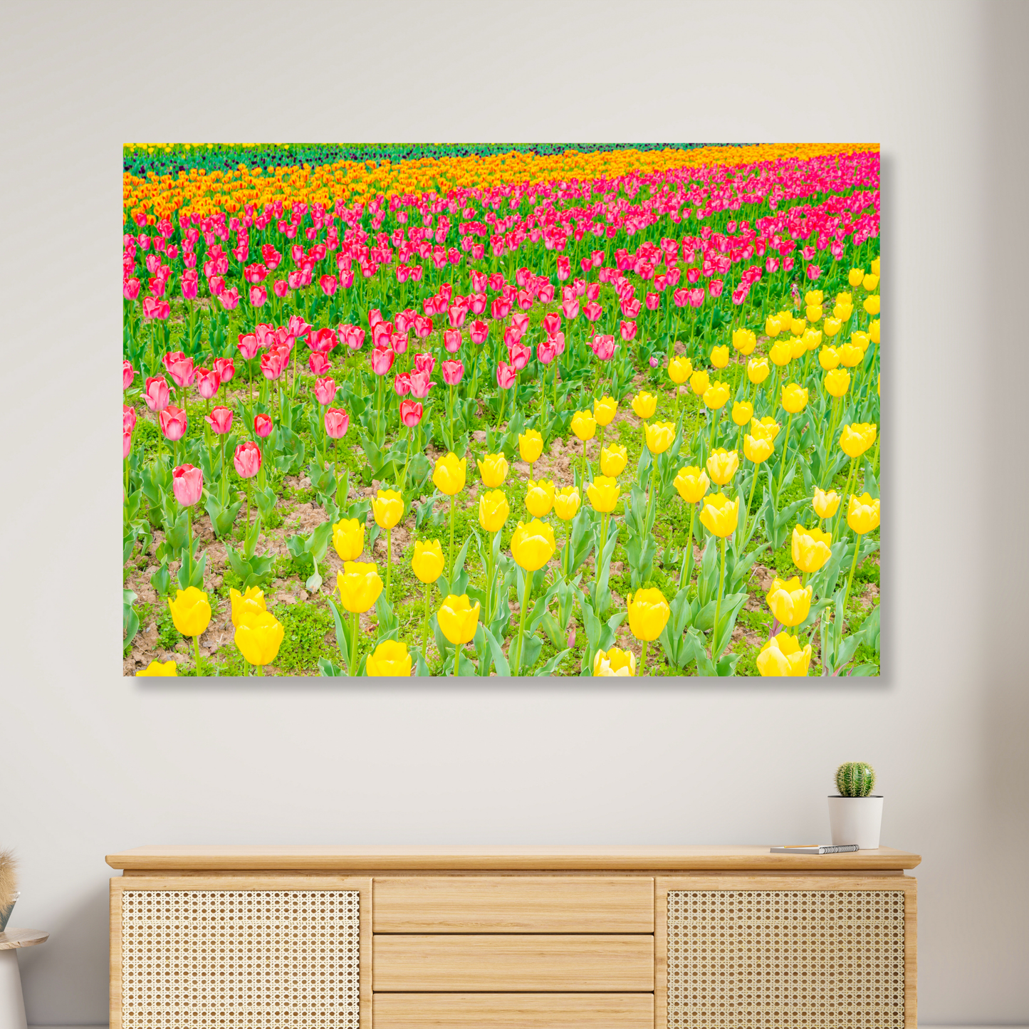 A Field Of Tulips Wall Art Canvas Print