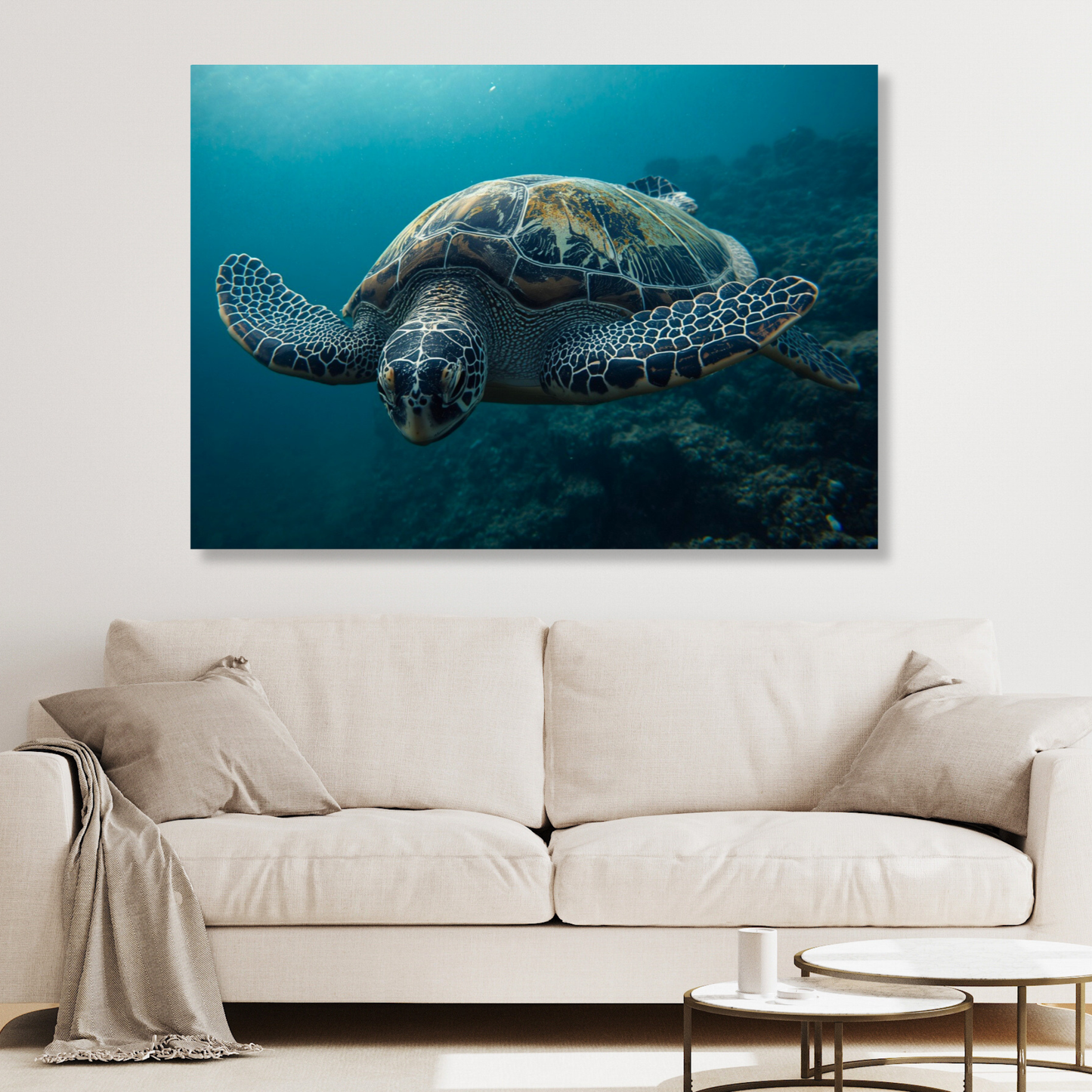 A Turtle's Journey Wall Art Canvas Print