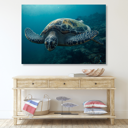 A Turtle's Journey Wall Art Canvas Print