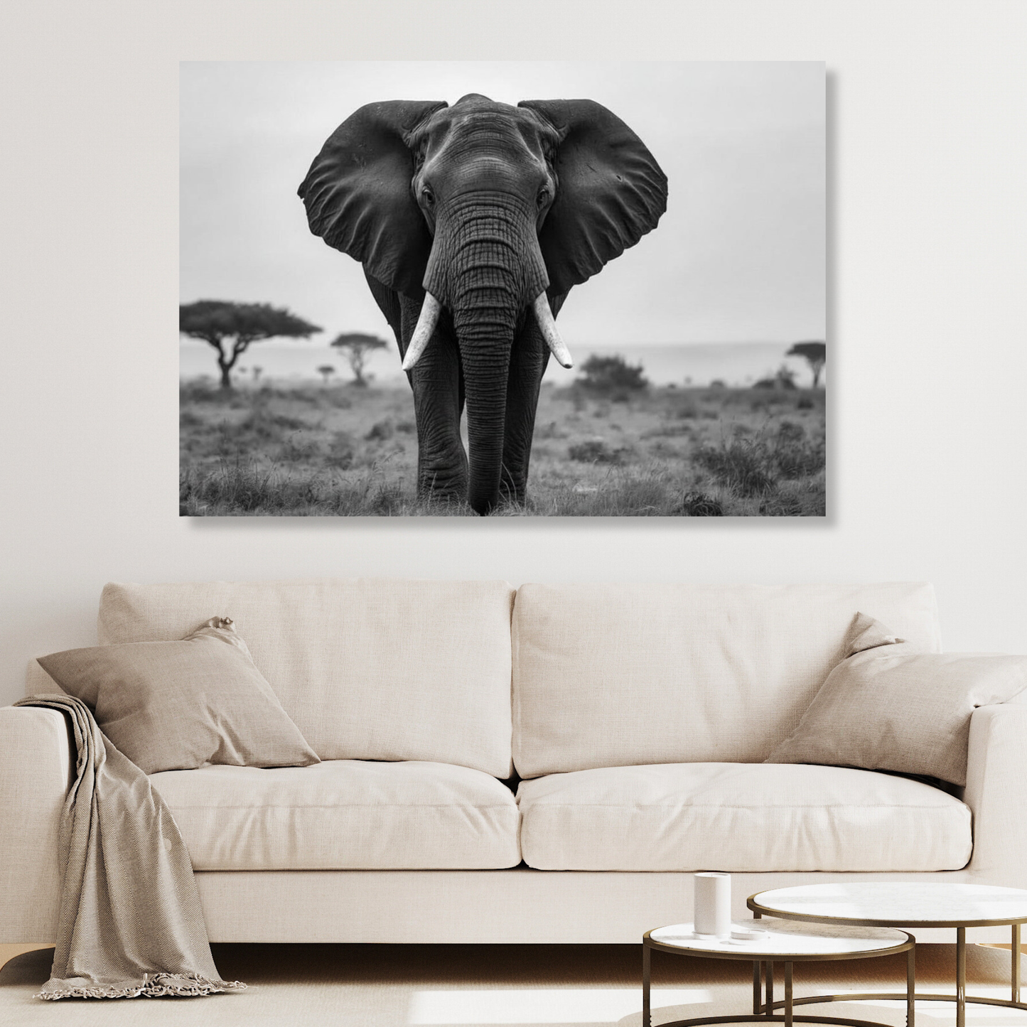 Black & White African Elephant Wall Art Canvas Print