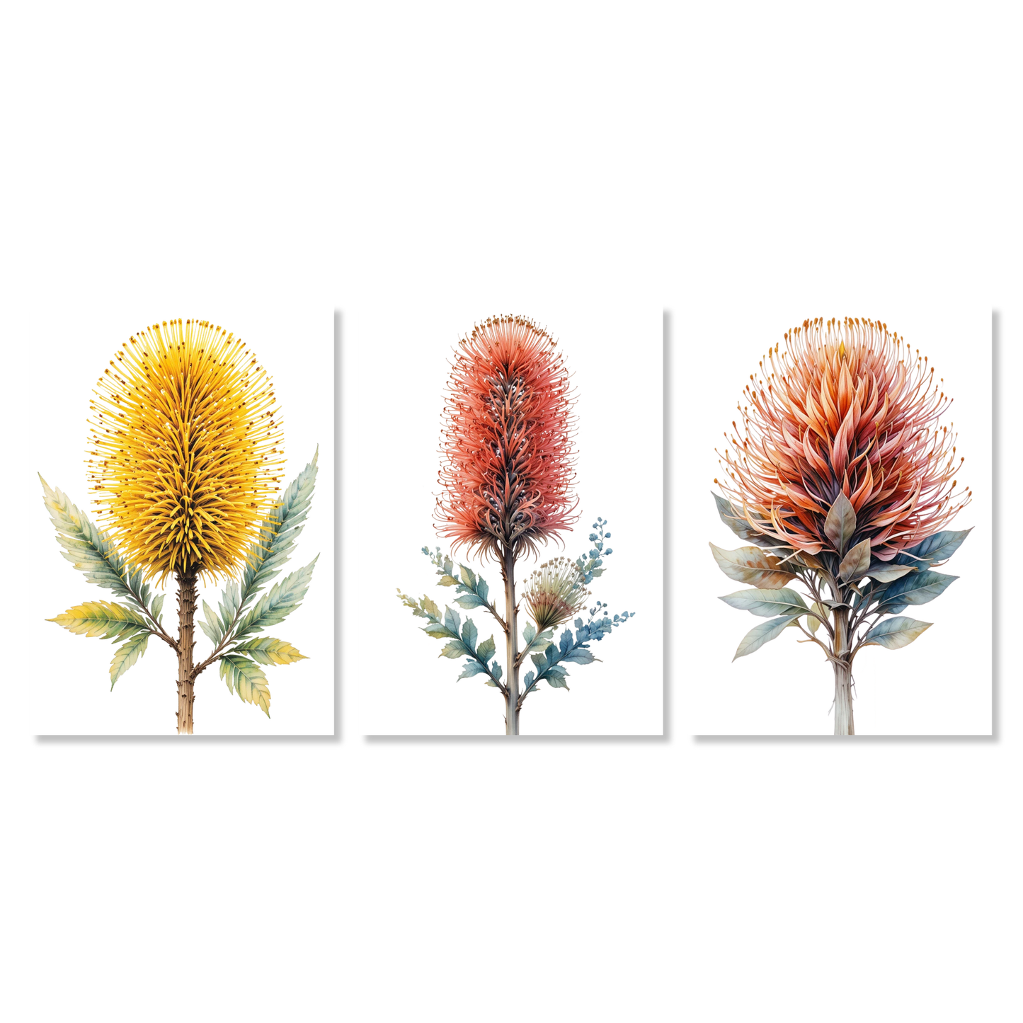 Bush Blooms Set of 3 Wall Art Canvas Prints