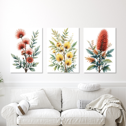 Native Flora Set of 3 Wall Art Canvas Prints